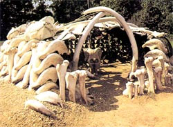 Реконструкція палеолітичного житла періоду пізнього палеоліту (15 тис. до н.е.) з території теперішнього села Межиріч Черкаської області 