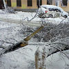 Київ засипало снігом і потрощеними деревами