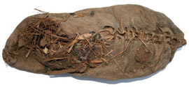 Черевичка віком п’ять з половиною тисяч років