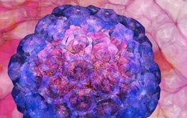 Зараження вірусом папіломи людини може викликати рак шийки матки