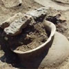Унікальні залишки трипільської культури виявили археологи на Буковині