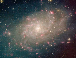 Спіральна галактика M33 (Фото: Robert Nemiroff (MTU) & Jerry Bonnell (USRA), www.astronet.ru)