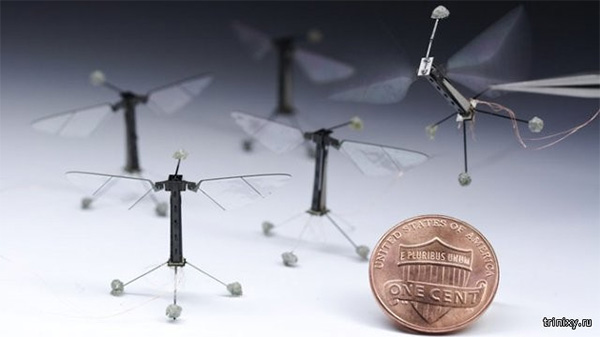 Flybot є копією комахи і призначений насамперед для ведення розвідки в важкодоступних місцях