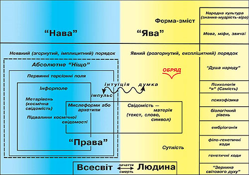 Схема 1. Первинні поля (Саннікова 2000) 