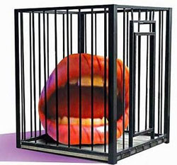 Президент підписав закон, який дозволяє закривати опозиційні ЗМІ Президент підписав закон, який дозволяє закривати опозиційні ЗМІ