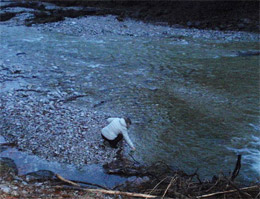 В Австрії вода з гірських джерел і з водопровідної мережі -  однакова чиста і смачна