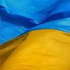 У День Соборності на мітинги вийдуть 6 партій