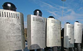 Свободівці отримали підтвердження введення у столицю військ Свободівці отримали підтвердження введення у столицю військ