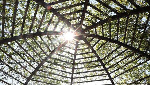 Сонячне світло, тепло і волога послаблюють коронавірус