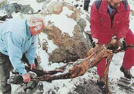 Мумію знайшли в 1991 році туристи з Німеччини в Тірольських Альпах, на льодовику Сімілаун в долині Ецталь на висоті 3200 м над рівнем моря в результаті сильного танення криги Мумію знайшли в 1991 році туристи з Німеччини в Тірольських Альпах, на льодовику Сімілаун в долині Ецталь на висоті 3200 м над рівнем моря в результаті сильного танення криги