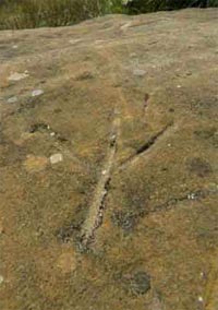 Зображення тризуба на брилах прадавнього святилища Кам`яна могила