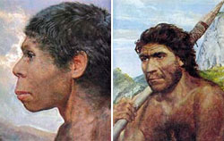 Homo sapiens neanderthalensis та Homo sapiens sapiens  