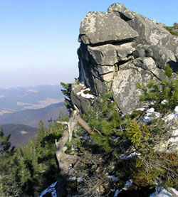 Закарпатський туристичний клондайк