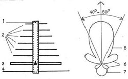 Телевізійна антена типу «хвильовий канал». Діаграма спрямованості телевізійної антени.