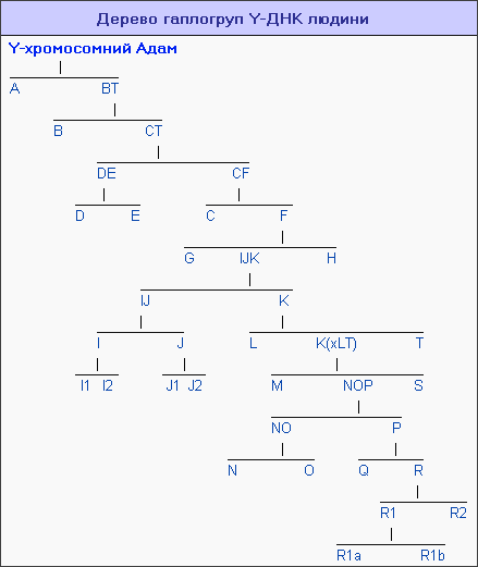 Дерево гаплогруп. Гаплогруппи Y-ДНК по народам.